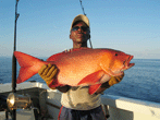 
- Red Snapper
- Latham Island (21 May 2006)